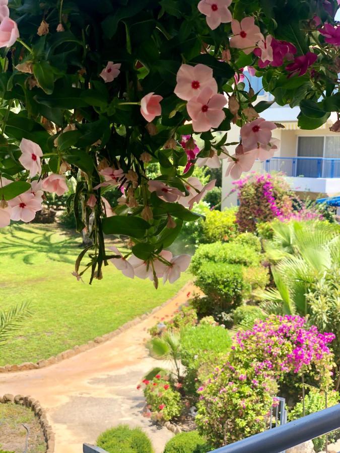 Holiday Apartment Walking Distance To The Sea Paphos מראה חיצוני תמונה