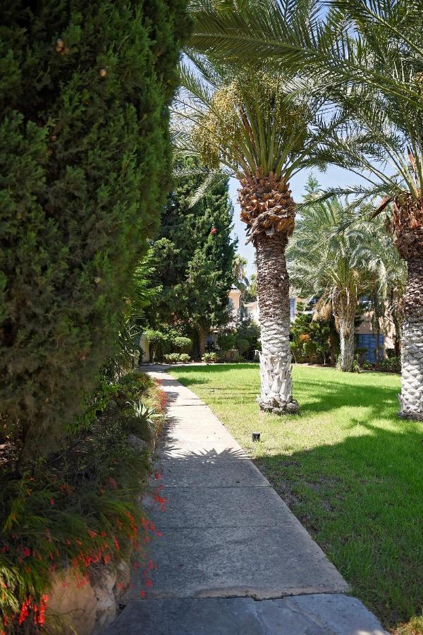 Holiday Apartment Walking Distance To The Sea Paphos מראה חיצוני תמונה