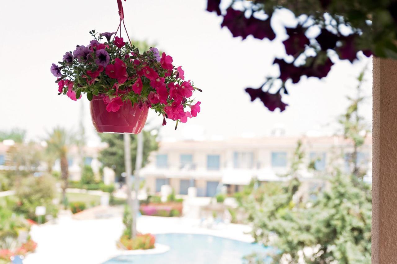 Holiday Apartment Walking Distance To The Sea Paphos מראה חיצוני תמונה